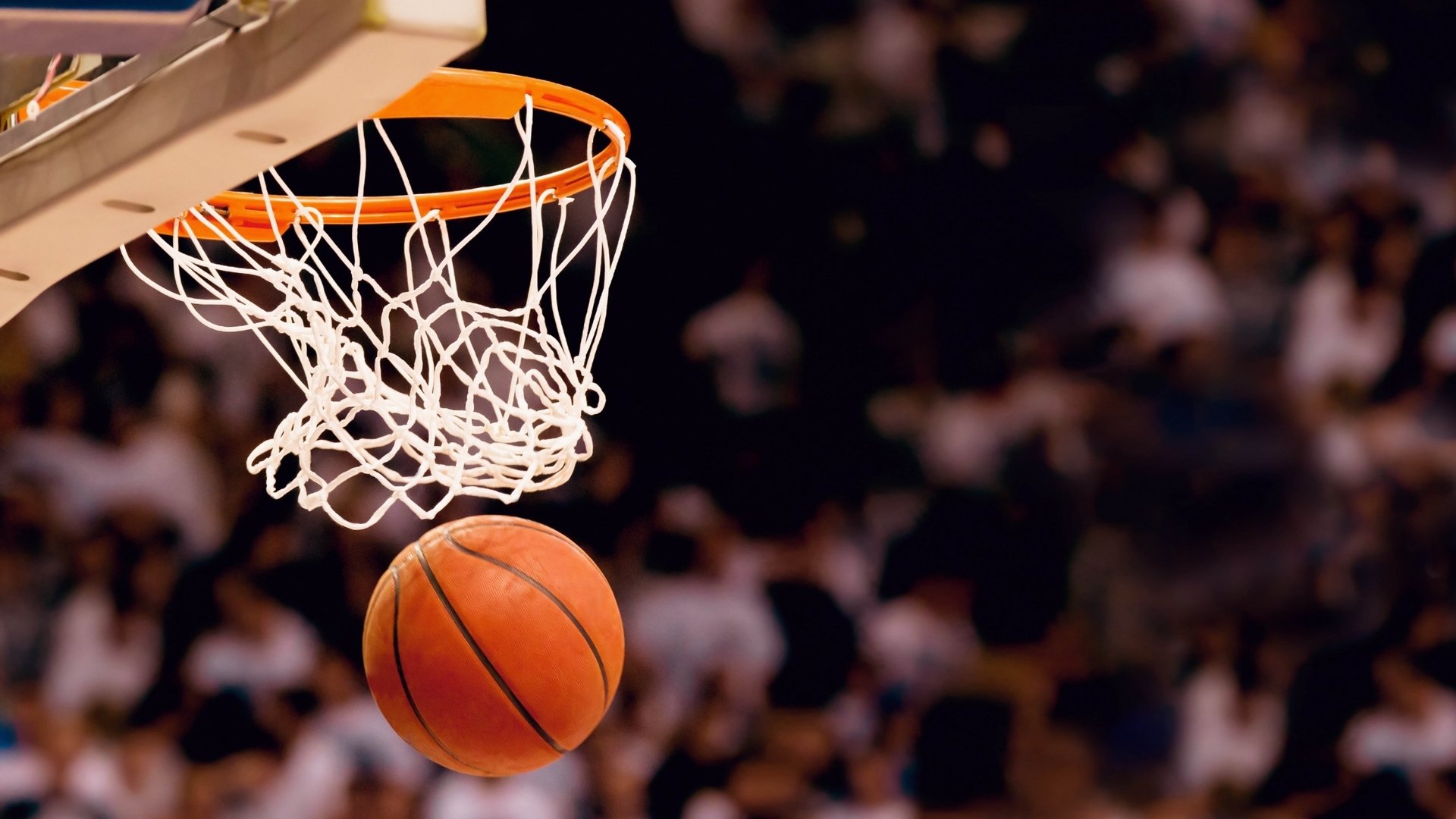 NBA最新赛季战况分析，nba新赛季战绩排行榜